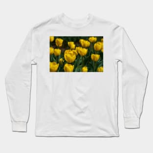 Various tulips in the park Long Sleeve T-Shirt